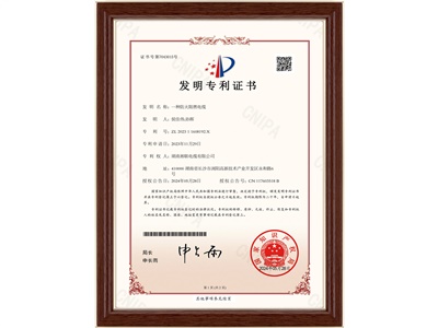發明專利（4）