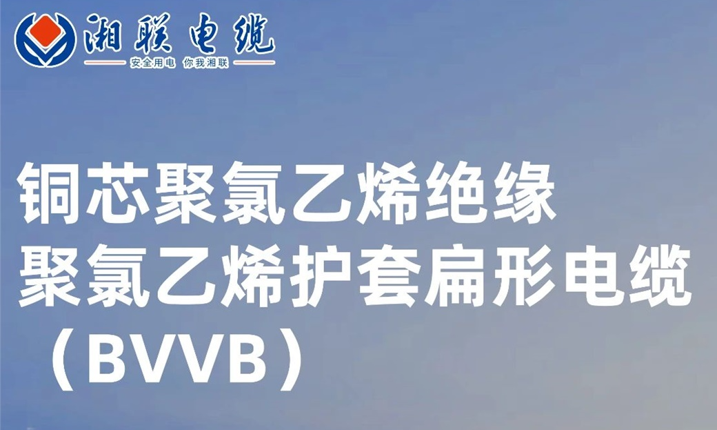 國標認證，品質保障 | 一文解析BVVB（銅芯聚氯乙烯絕緣聚氯乙烯護套扁形電纜）